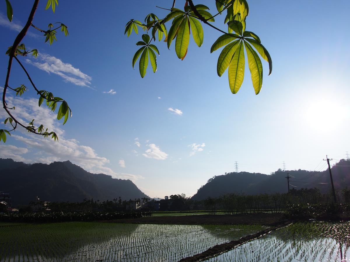 Palm Villa Guesthouse Nantou Bagian luar foto