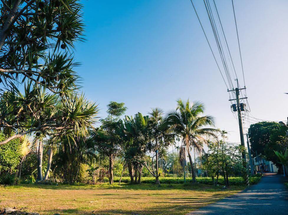 Palm Villa Guesthouse Nantou Bagian luar foto